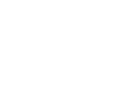 CARI Electronic